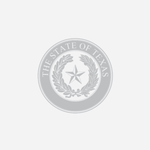 State of Texas logo 2x