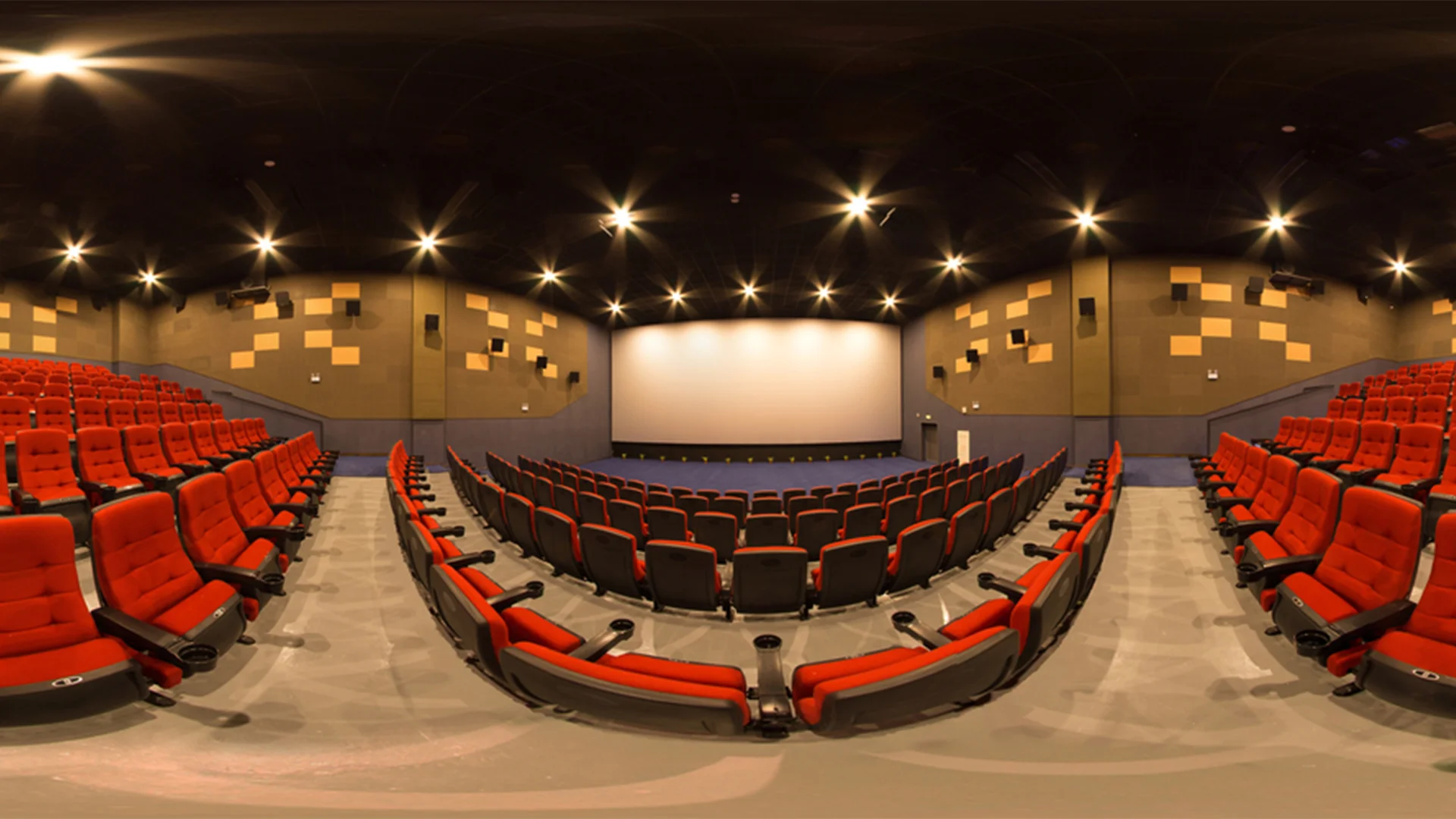 360 Video Production Studio - Entertainment - Euphoria XR