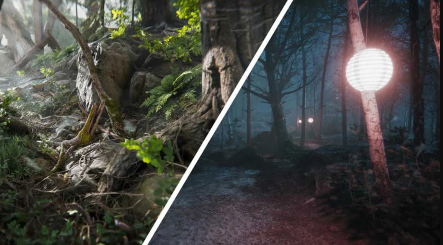 Real-Time Rendering for Artistic Realism - Euphoria XR