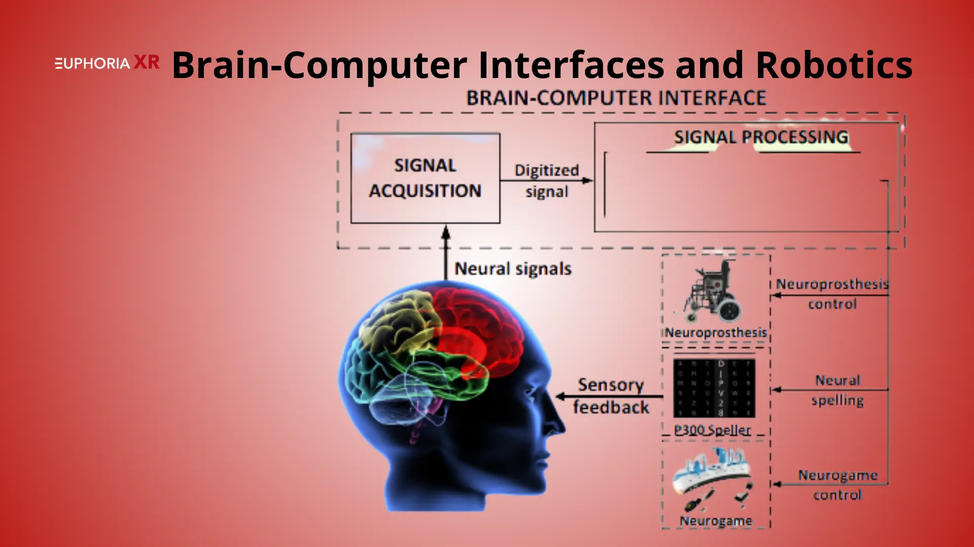 Brain-Computer Interfaces and Robotics - Euphoria XR
