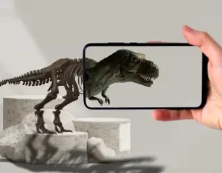 AR Dragon Experience - Euphoria XR